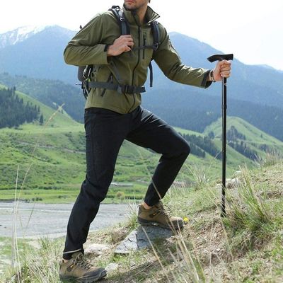 Factory Wholesale Telescopic Cane Begrit Sticks Multifunction Folding Walking Aid Cane
