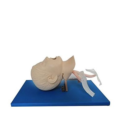 OEM Comprehensive emergency skills training Electronic Trachea Intubation Training Model MANIKIN