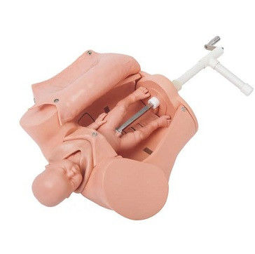 Stock Comprehensive emergency skills training  neonate trachea tubing training model