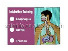 2017 Sell Well Airway Management Arm Injection Training Practice CPR AED Can Use Mannequin Manikin