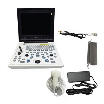 K5 Ultrasound Scanner (Standard Convex Probe)